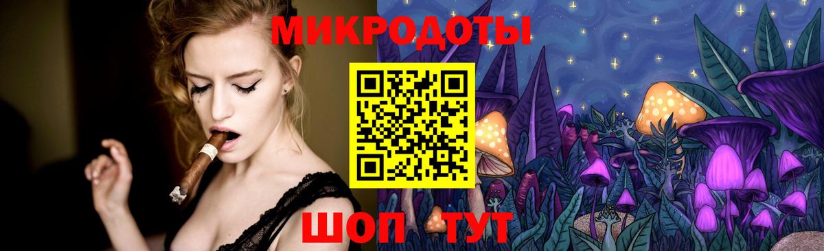купить   Вход с VPN  Алексеевка  Галлюциногенные грибы Cubensis 